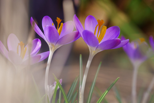 1754878 (a): :2048x1365